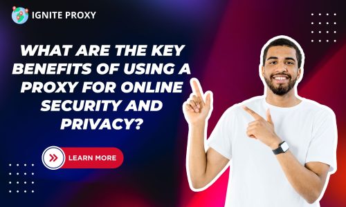 What are the key benefits of using a proxy for online security and privacy?