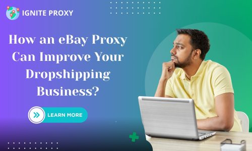 How an eBay Proxy Can Improve Your Dropshipping Business?