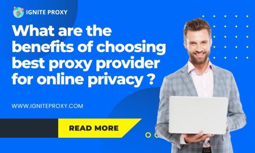 What are the benefits of choosing best proxy provider for online privacy?